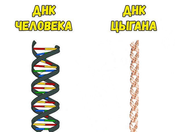 Ржака каждый день. Классные хохотушки!