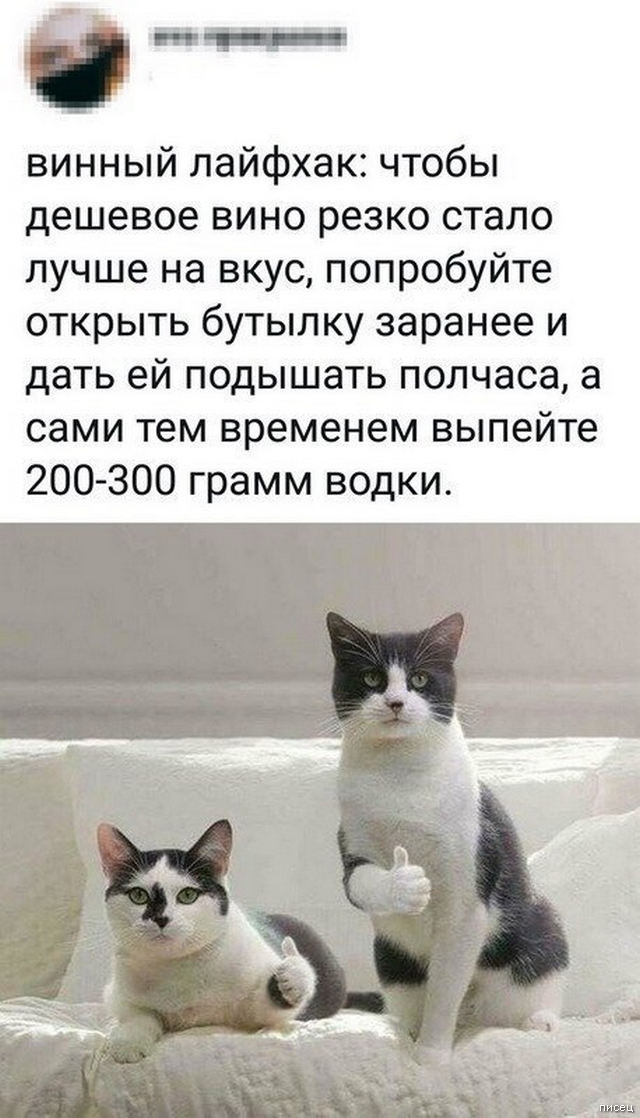 100% приколы, от которых болит живот. Вот это кайф!