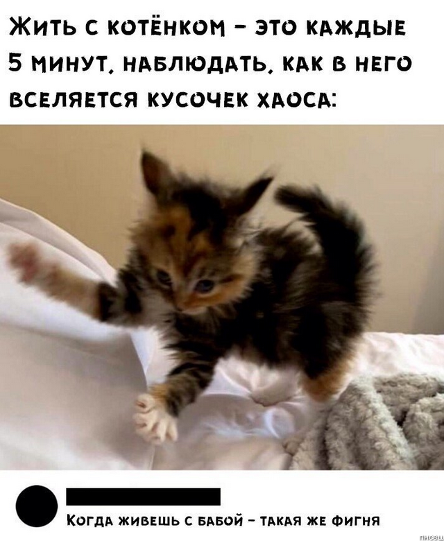 100% ржака, от которой болит живот. Поддержите тему Лайком!