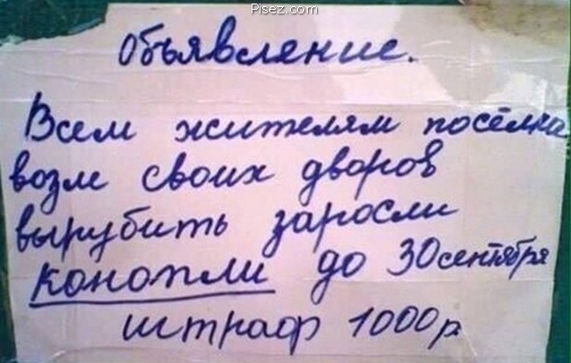 Деревенские приколы. 25 лучших хитов Писца!