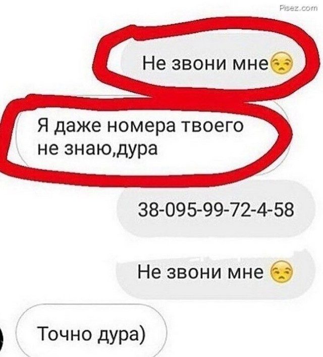 Женская логика на Писце