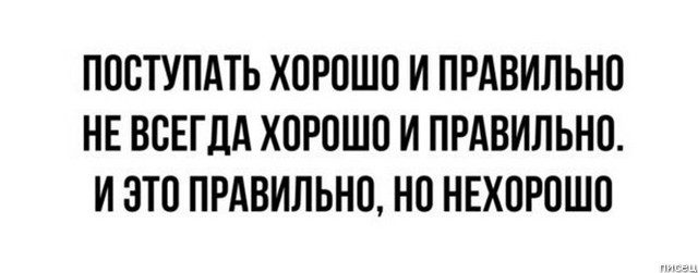 Офигеть, ведь все они в точку!