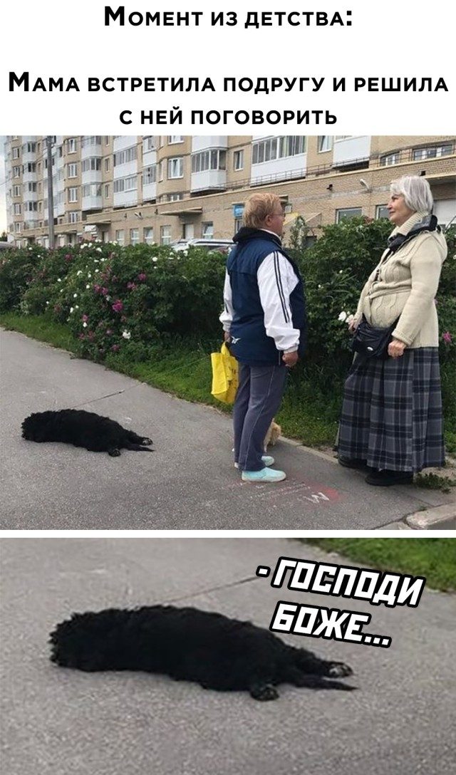 Смехотерапия Писца. Любимка!