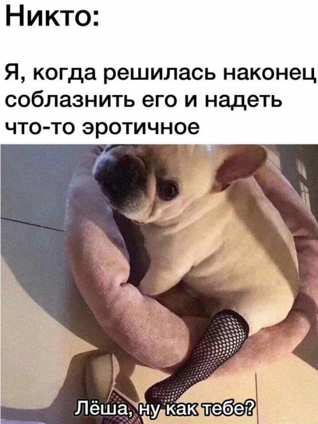 Приколы февраля