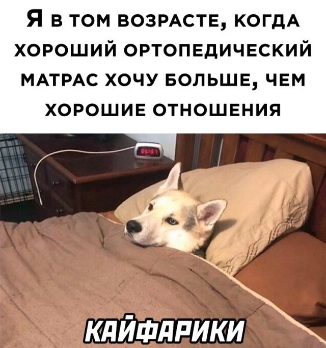 Октябрьские приколы