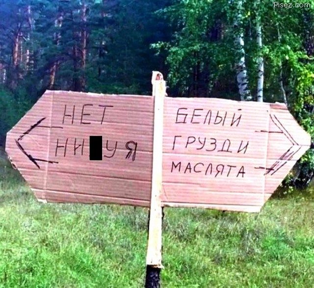 Что ни фото, то точно Хит! Смотрим вместе!