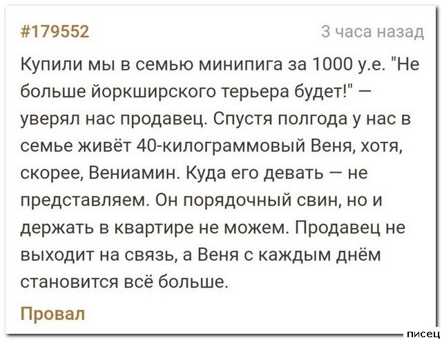 25 декабрьских прикольчиков из социальных сетей