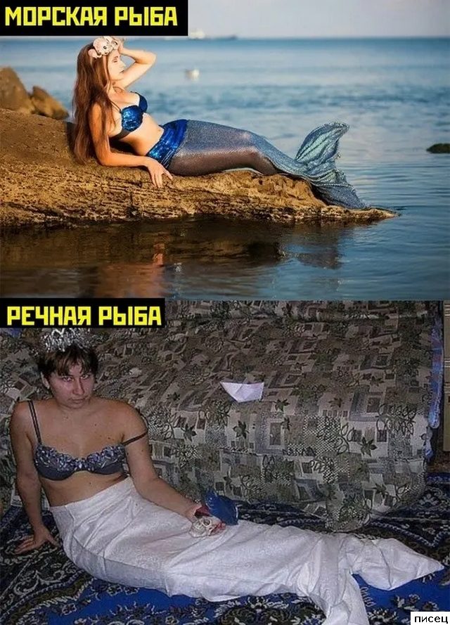 Смехотерапия Писца. Вот действительно смешно! / Писец - приколы интернета