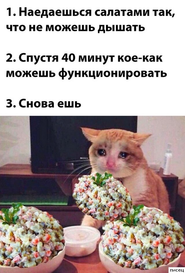 Новогодние приколы. Финальная часть