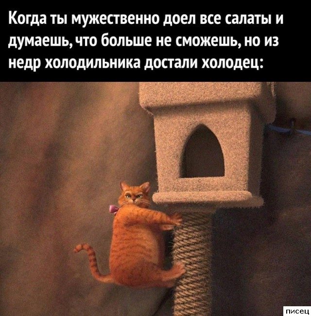 Новогодние приколы. Финальная часть