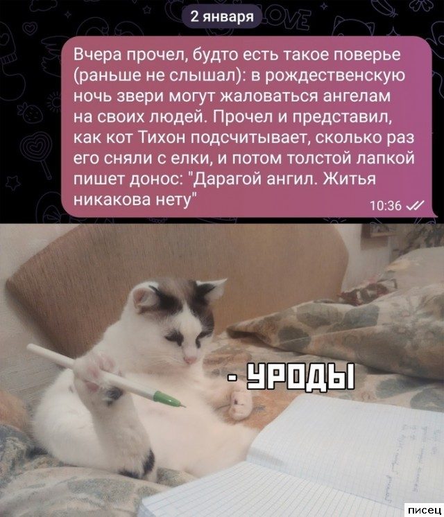 18 прикольных СМС, которые доставят вам удовольствие