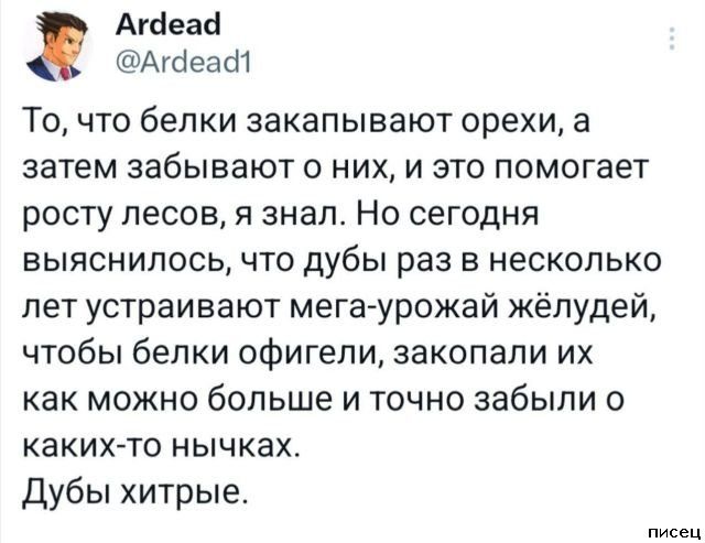 25 июльских приколов из социальных сетей. Кайфушки!