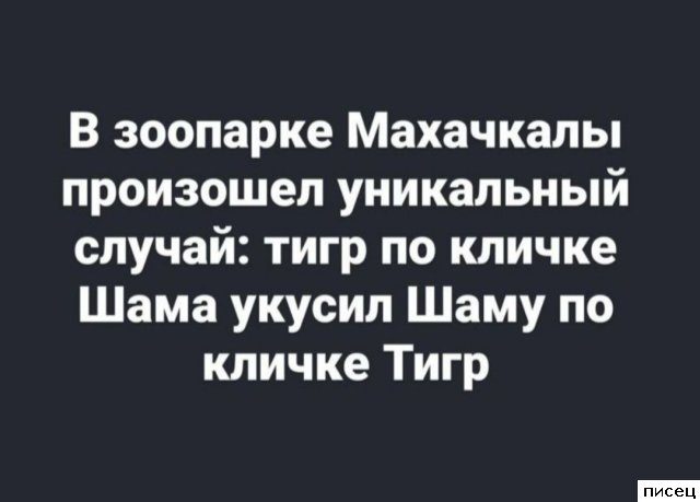 16 шикарных цитат, которые абсолютно в точку!