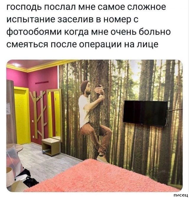 Приколы августа из социальных сетей. Шикардос!