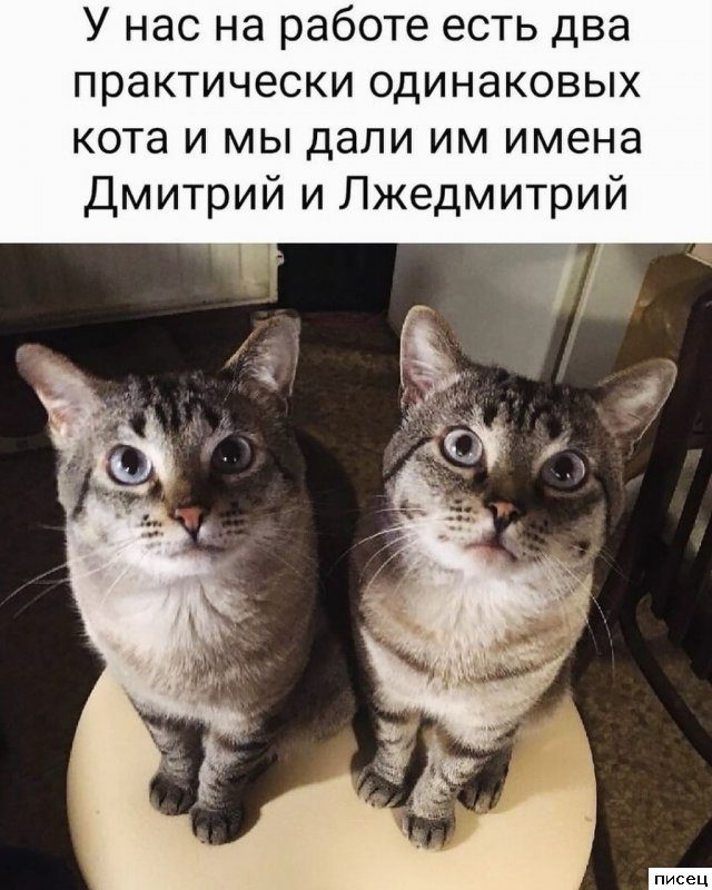 Отличные рабочие приколы