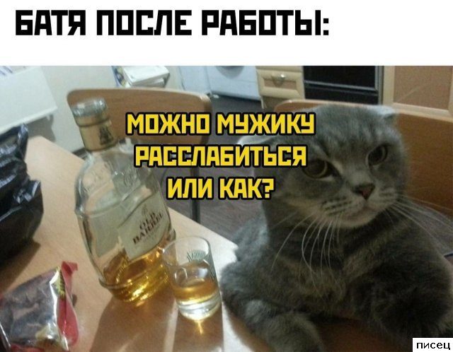 Мужские приколы. Любимая коллекция!