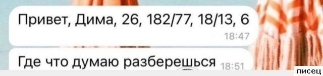 18 классных смс, доставляющие всем незабываемое удовольствие