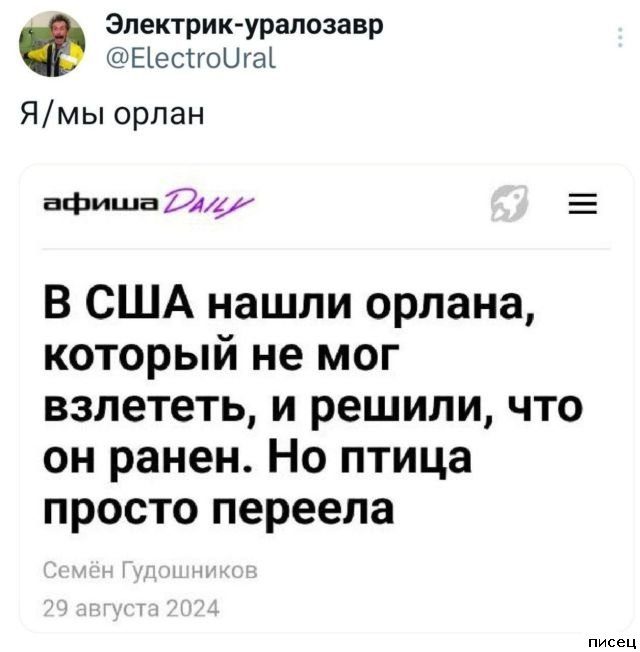 Шедевры из социальных сетей. Кайф!