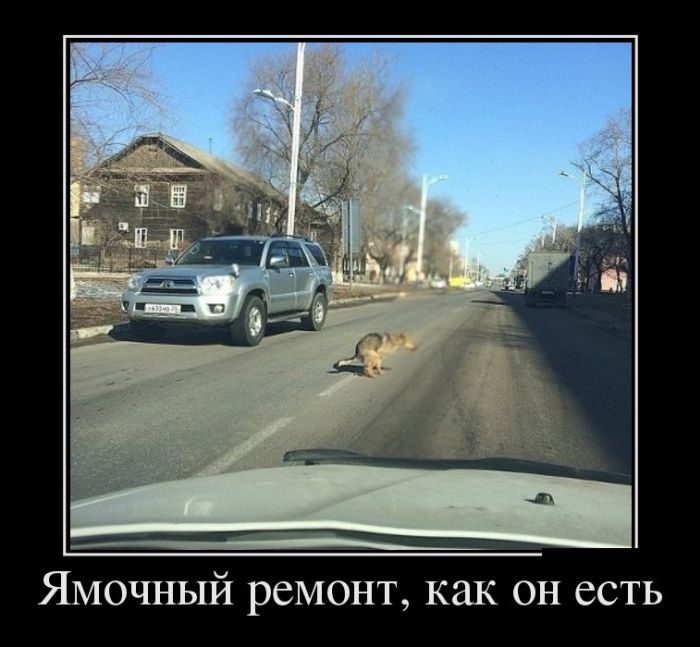 25 классных Демотиваторов. Однозначно, Лайк!