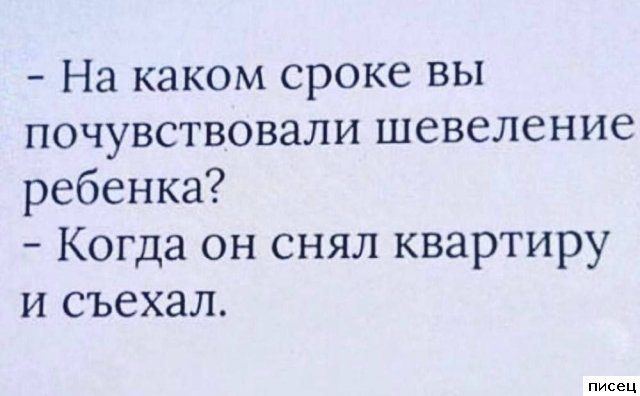 Все приколы Сентября. Кайф!