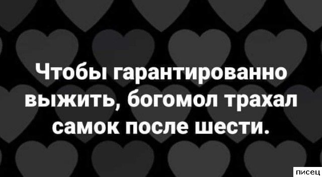 20 отличнейших цитат, которые абсолютно в точку!