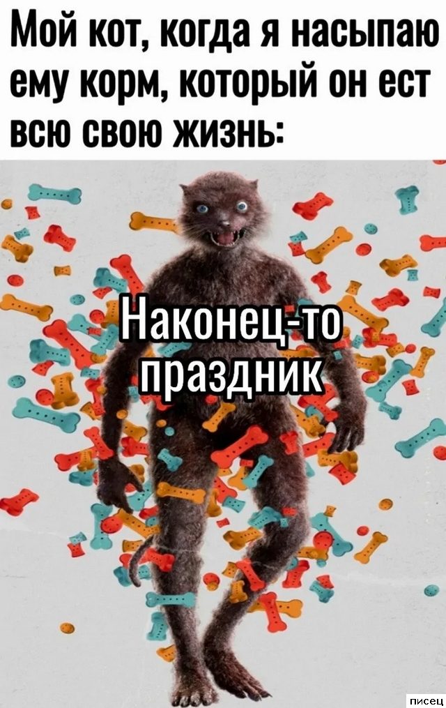 Все приколы Октября