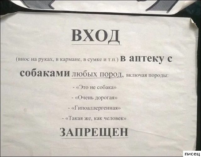 Кратко, чётко и понятно. У меня точно будет разрыв живота!