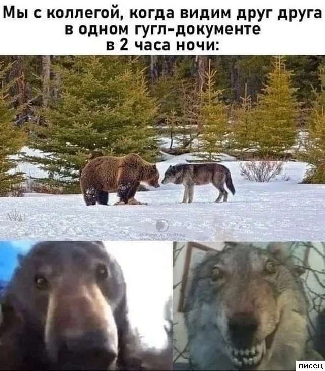 Убойные рабочие приколы. Шикардятина!