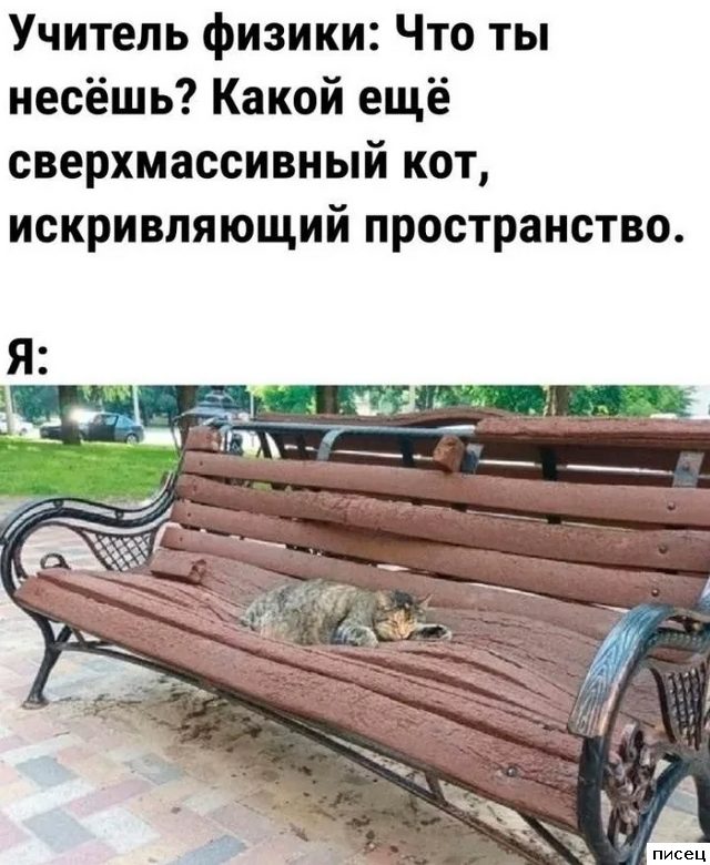 Все приколы Ноября. Кайф!