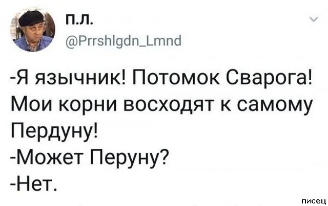 25 приколов Ноября из социальных сетей. Я балдею!