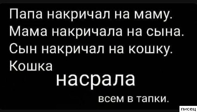 Все приколы Ноября. Я балдею!