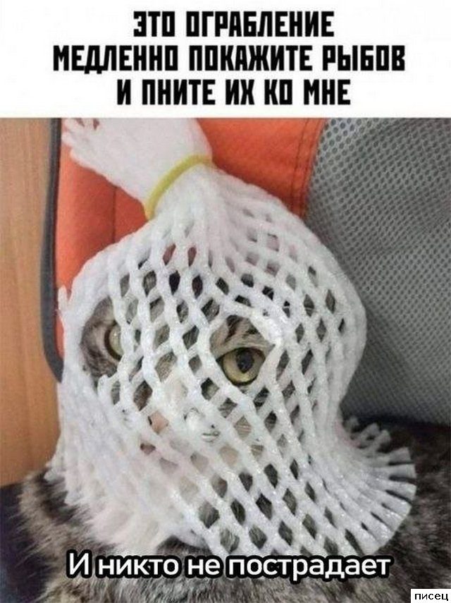 Все приколы Ноября. Я балдею!