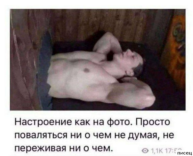 Все приколы Ноября. Я балдею!