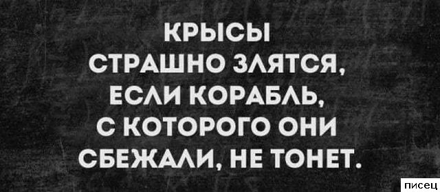 18 великолепных цитат, которые абсолютно в точку!