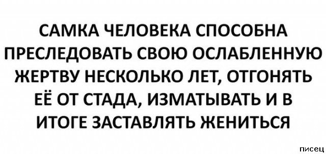 20 изумительных цитат, которые абсолютно в точку!