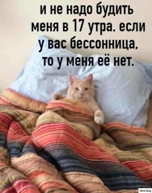 Все приколы Декабря. Я балдею!