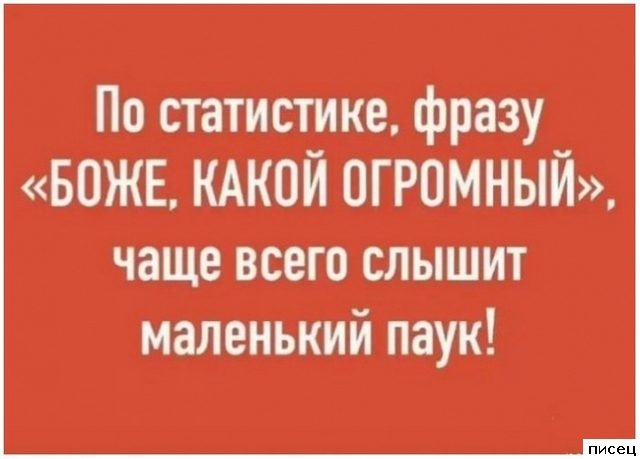 19 изумительных цитат, которые абсолютно в точку!