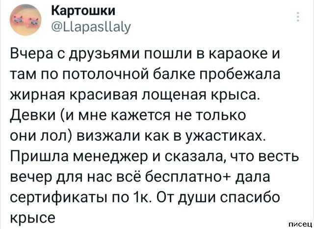 25 приколов Декабря из социальных сетей. Я балдею!