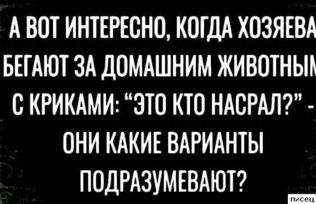 18 шикарнейших цитат, которые прямо в точку!