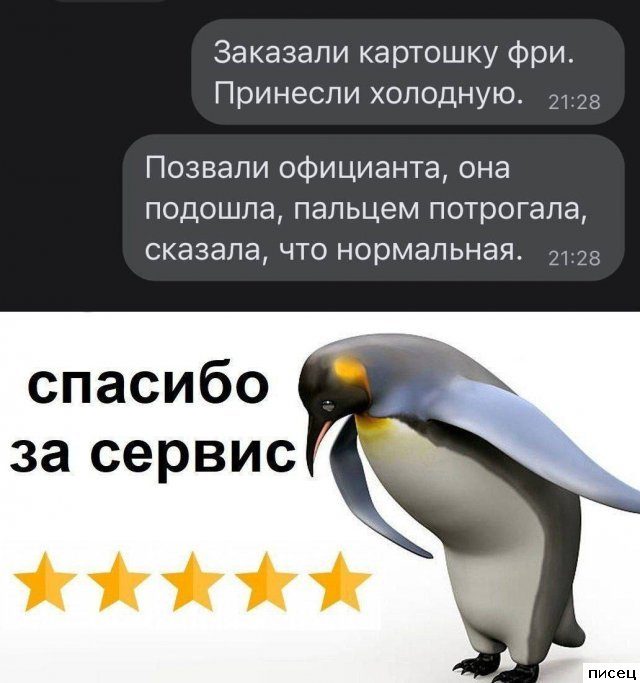 16 эпических отзывов от интернет-приколистов