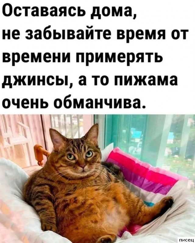 Все приколы Января. Делимся в социальных сетях!