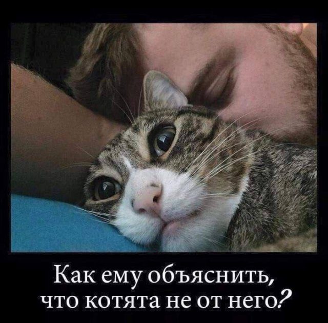 Отменная коллекция Демотиваторов