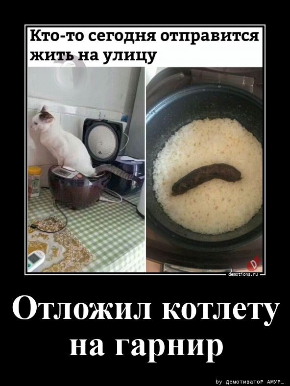 Отменная коллекция Демотиваторов