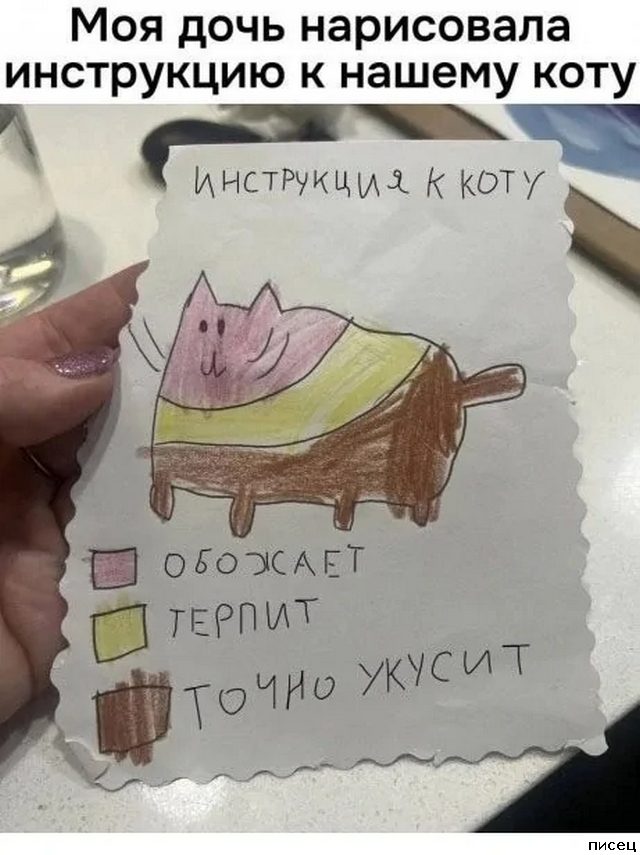 Все приколы Февраля