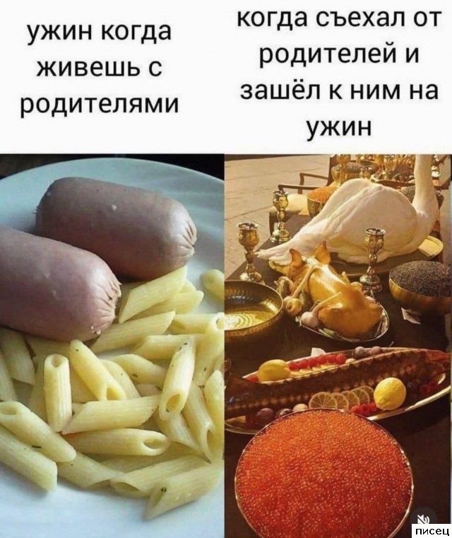 Все приколы Февраля. Делимся юмором в социальных сетях!