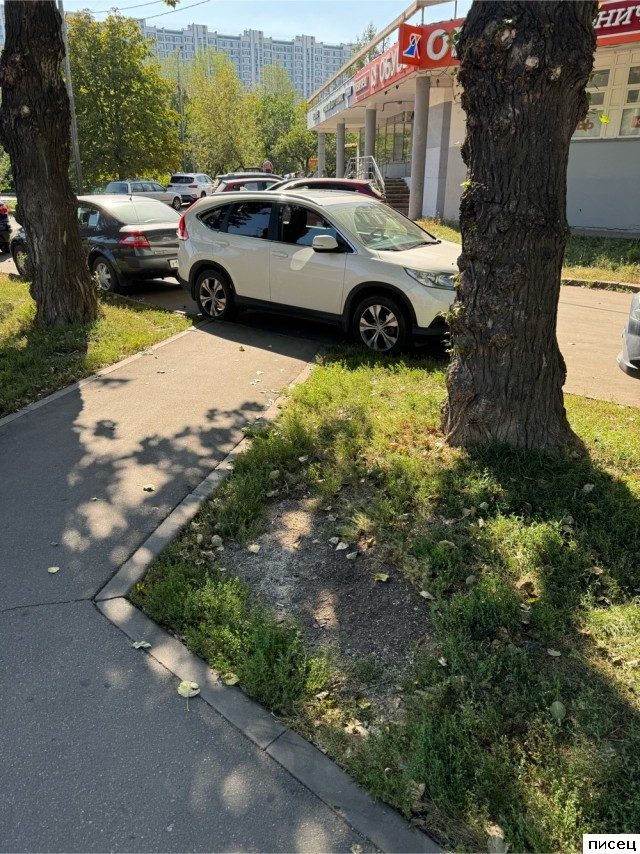 Мне плевать, я паркуюсь как м.дак!
