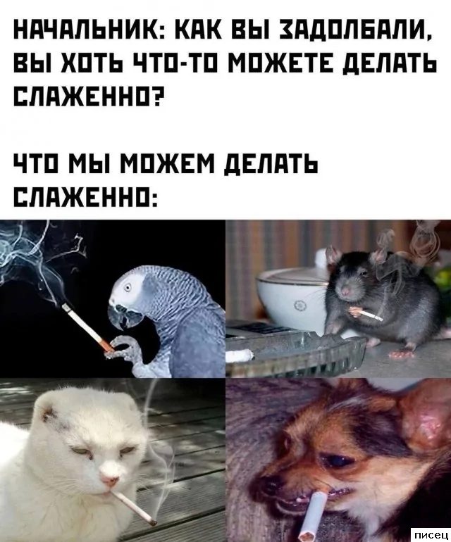 Рабочие приколы. Великолепно!