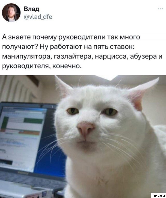 Рабочие приколы. Великолепно!