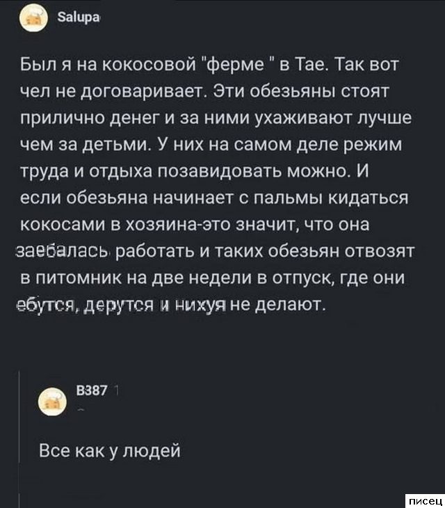 25 приколов Марта из социальных сетей. Голосуйте!