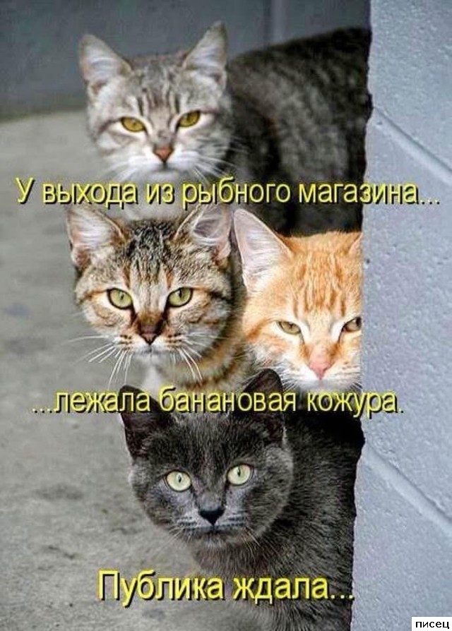 Все приколы Марта